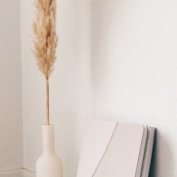 shop-img-1-gallery-3 n